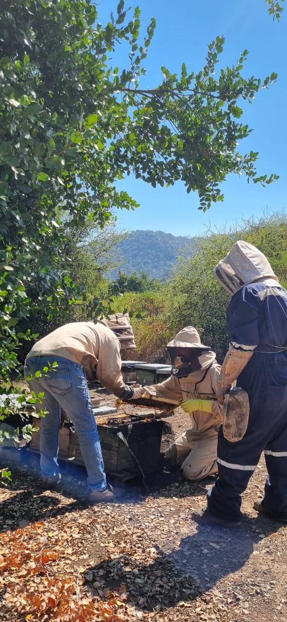 Asesoramiento técnico en terreno para un proyecto productivo apícola